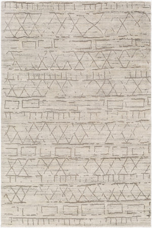 Surya Pokhara 10' X 14' Hand Knotted Rug – Elegant Global-inspired Design, Durable Viscose & Wool Construction Taupe Viscose,Wool Pok2300-46