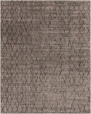 Surya Pokhara Hand Knotted Wool Viscose Area Rug Global Eclectic Pattern for Living Room POK2301-810