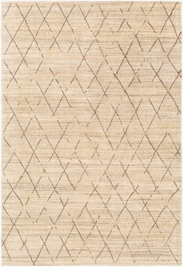 Surya Pokhara 10' X 14' Hand Knotted Rug – Elegant Global-inspired Design, Durable Viscose & Wool Construction Dark Brown Viscose,Wool Pok2302-23