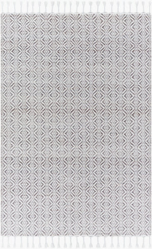 Livabliss Peony Handwoven Flatweave Accent Rug Bohemian Fringe Detail for Entryways and Small Spaces Pewter, Dove Gr 2' x 3' PON2300-23
