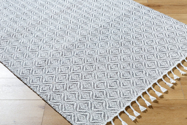 Livabliss Peony Handwoven Flatweave Accent Rug Bohemian Fringe Detail for Entryways and Small Spaces Pewter, Dove Gr 2' x 3' PON2300-23
