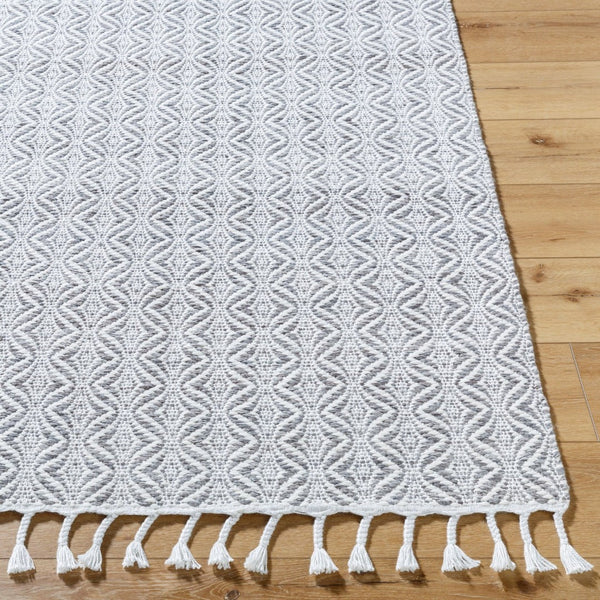 Livabliss Peony Handwoven Flatweave Accent Rug Bohemian Fringe Detail for Entryways and Small Spaces Pewter, Dove Gr 2' x 3' PON2300-23