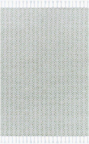 Livabliss Peony Bohemian Flatweave Accent Rug Handwoven Recycled Pet Yarn Entryway Artisan Sage, Ivory 5' x 7'6" PON2301-576