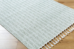 Livabliss Peony Bohemian Flatweave Accent Rug Handwoven Recycled Pet Yarn Entryway Artisan Sage, Ivory 5' x 7'6" PON2301-576