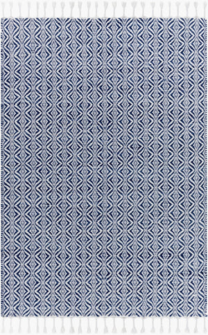 Livabliss Peony Flatweave Accent Rug Handwoven Bohemian Fringe Detail Recycled Pet Yarn India Indigo, Slate 2' x 3' PON2303-23