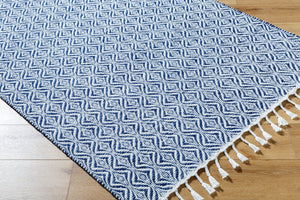 Livabliss Peony Flatweave Accent Rug Handwoven Bohemian Fringe Detail Recycled Pet Yarn India Indigo, Slate 2' x 3' PON2303-23