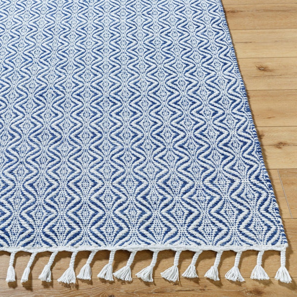 Livabliss Peony Flatweave Accent Rug Handwoven Bohemian Fringe Detail Recycled Pet Yarn India Indigo, Slate 2' x 3' PON2303-23