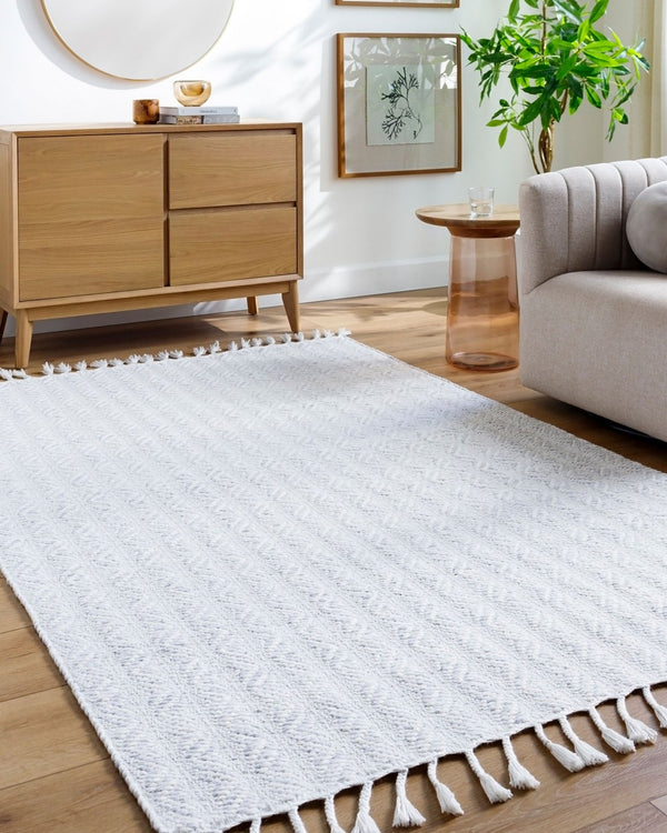 Livabliss Peony Handwoven Flatweave Accent Rug Recycled Yarn Bohemian Fringe for Entryways Powder Blue, So 2' x 3' PON2305-23