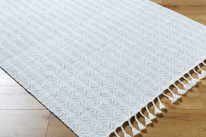 Livabliss Peony Handwoven Flatweave Accent Rug Recycled Yarn Bohemian Fringe for Entryways Powder Blue, So 2' x 3' PON2305-23