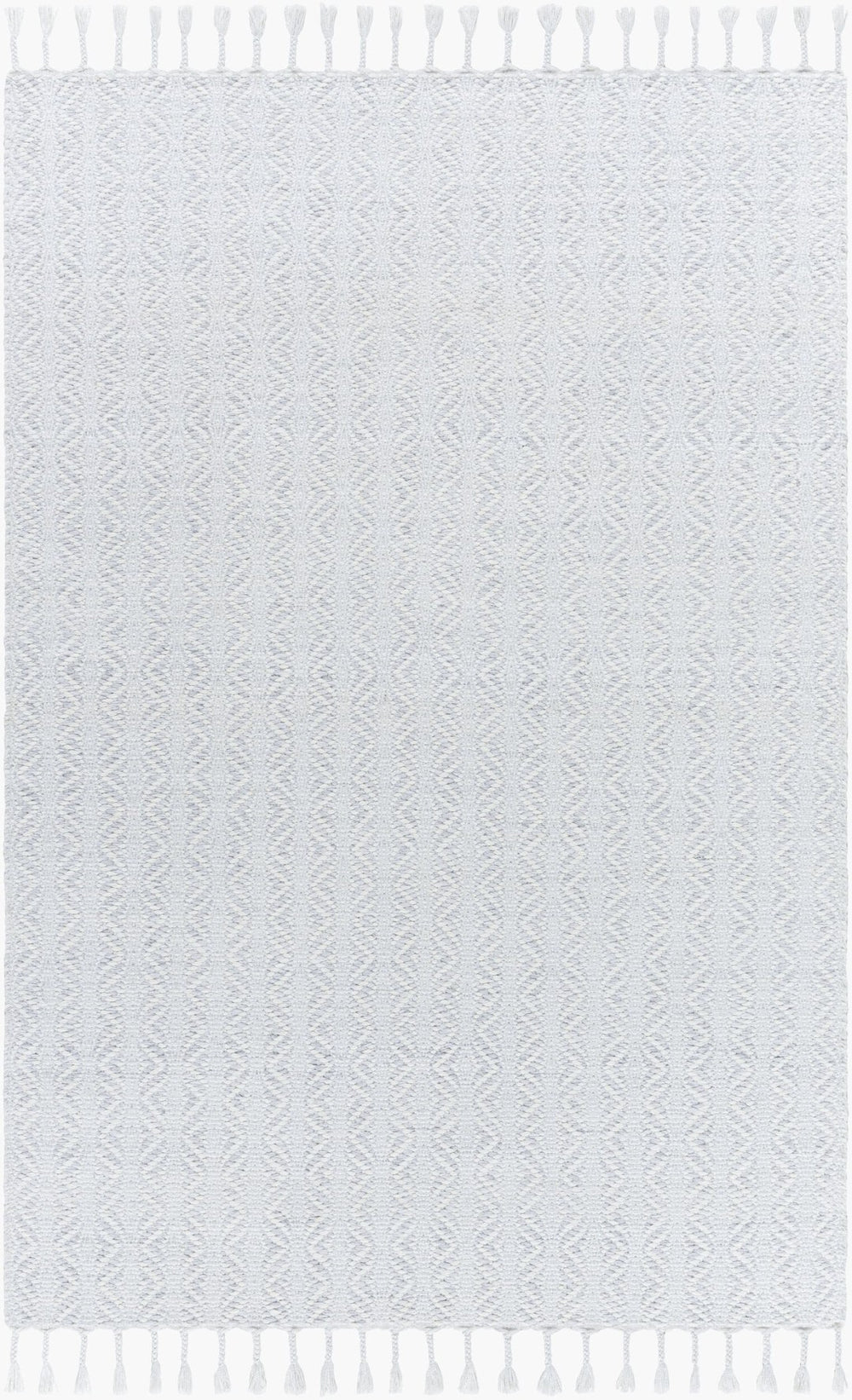 Livabliss Peony Handwoven Flatweave Accent Rug Recycled Yarn Bohemian Fringe for Entryways Powder Blue, So 2' x 3' PON2305-23