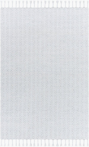 Livabliss Peony Handwoven Flatweave Accent Rug Recycled Yarn Bohemian Fringe for Entryways Powder Blue, So 2' x 3' PON2305-23