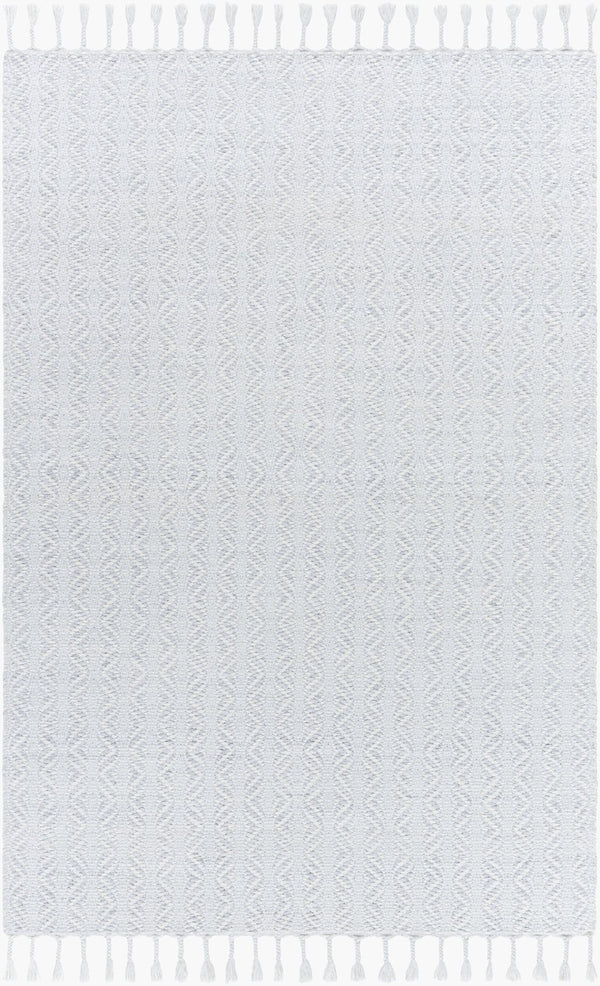 Livabliss Peony Handwoven Flatweave Accent Rug Recycled Yarn Bohemian Fringe for Entryways Powder Blue, So 2' x 3' PON2305-23