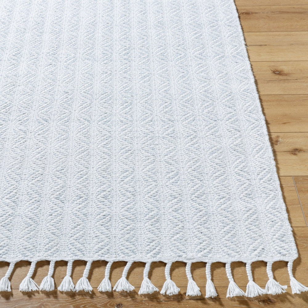 Livabliss Peony Handwoven Flatweave Accent Rug Recycled Yarn Bohemian Fringe for Entryways Powder Blue, So 2' x 3' PON2305-23