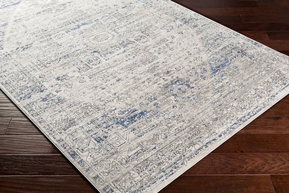 Livabliss Porto Machine Woven Traditional Accent Rug Polyester Blend for Entryways and Bedside POO2301-2211