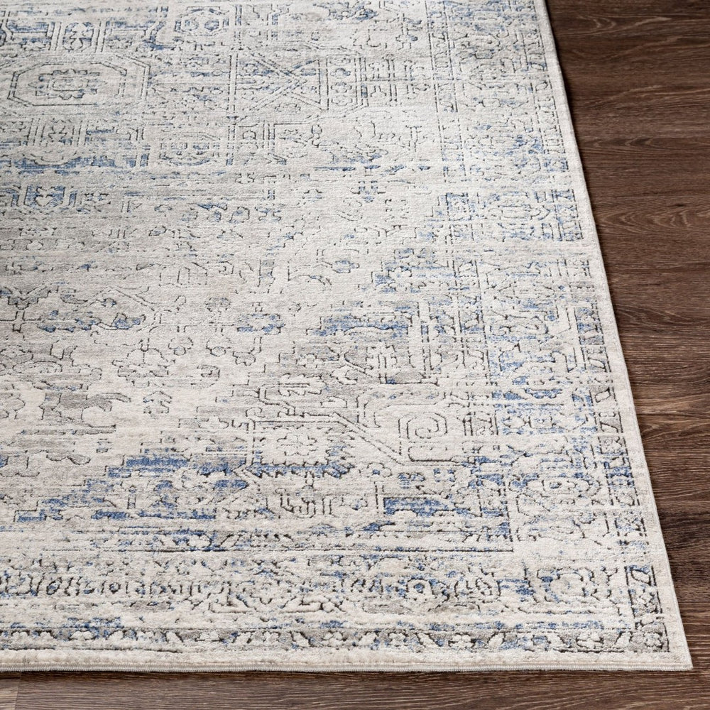 Livabliss Porto Machine Woven Traditional Accent Rug Polyester Blend for Entryways and Bedside POO2301-2211