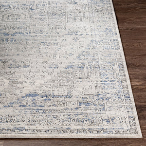 Livabliss Porto Machine Woven Traditional Accent Rug Polyester Blend for Entryways and Bedside POO2301-2211