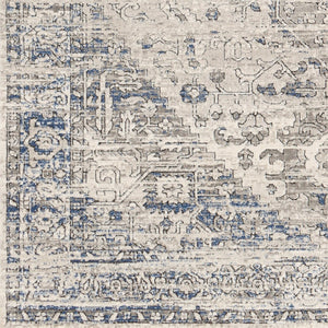 Livabliss Porto Machine Woven Traditional Accent Rug Polyester Blend for Entryways and Bedside POO2301-2211