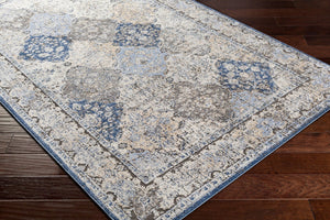 Livabliss Porto Geometric Machine Woven Polypropylene Accent Rug for Entryway or Bedroom POO2302-2211