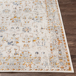 Livabliss Porto Traditional Accent Rug Machine Woven Polyester Blend for Entryways and Bedrooms POO2318-2211