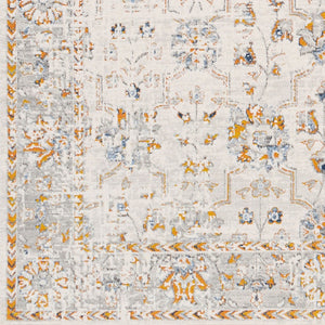 Livabliss Porto Traditional Accent Rug Machine Woven Polyester Blend for Entryways and Bedrooms POO2318-2211