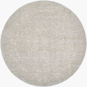 Livabliss Poet Collection Traditional Polyester Area Rug with Fringe for Living Room Floors Light Slate, Sl 5'3" x 5'3" POT2302-53RD