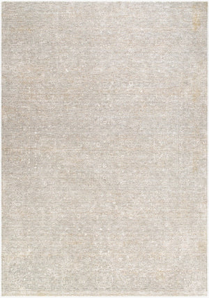 Livabliss Poet Collection Traditional Polyester Area Rug with Fringe for Living Room Floors Light Slate, Sl 5' x 7'5" POT2302-575
