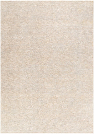 Livabliss Poet Traditional Fringe Area Rug Polyester Woven Living Dining Room Floor Accent Slate, Light Sl 12' x 15' POT2303-1215