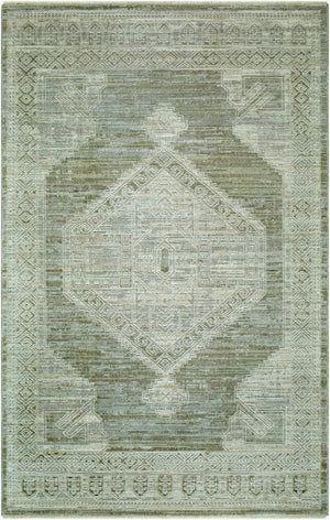 Livabliss Pierre Loti Traditional Runner Rug Polyester Fringe Hallway Entryway Medium Pile Dusty Sage, Lig 5' x 7'9" PPL2301-58
