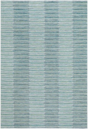 Livabliss Patio Plus Coastal Polypropylene Outdoor Rug Uv Resistant Flat Weave Deck Cover Teal, Seafoam 6'7" x 9' PPS2304-679