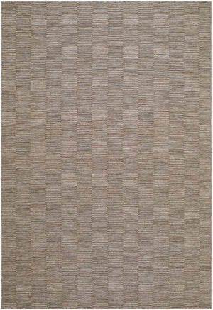 Livabliss Patio Plus Flatweave Polypropylene Rug Woven in Turkey for Indoor Outdoor Living Taupe, Sandston 7'10" x 10' PPS2313-71010
