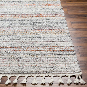 Livabliss Polaris Bohemian Global Area Rug Machine Woven Polyester Plush Pile with Fringe Trim PRI2301-9212