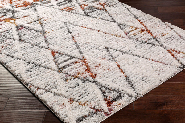 Livabliss Polaris Geometric Global Area Rug Machine Woven Polyester with Fringe for Living Rooms PRI2303-9212