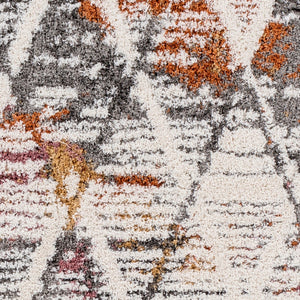 Livabliss Polaris Geometric Global Area Rug Machine Woven Polyester with Fringe for Living Rooms PRI2303-9212