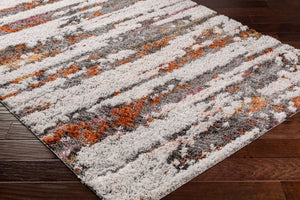 Livabliss Polaris Global Bohemian Area Rug Plush Polyester Pile Fringe Accent for Living Room PRI2305-527