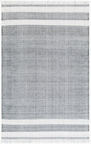 Livabliss Primrose Handwoven Flatweave Area Rug Recycled Pet Yarn Fringe Cottage Living Room PRM2300-912