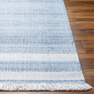Livabliss Primrose Handwoven Recycled Pet Flatweave Area Rug with Fringe Cottage Living Room White, Denim 8' x 10' PRM2302-810
