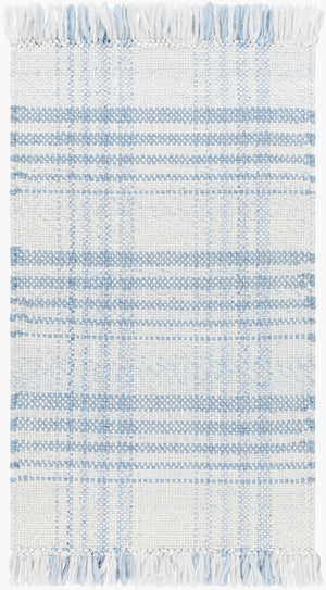 Livabliss Primrose Handwoven Flatweave Area Rug Recycled Pet Yarn Cottage Living Room Accent White, Denim 2'6" x 8' PRM2304-268