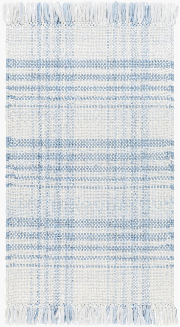Livabliss Primrose Handwoven Flatweave Area Rug Recycled Pet Yarn Cottage Living Room Accent White, Denim 2'6" x 8' PRM2304-268