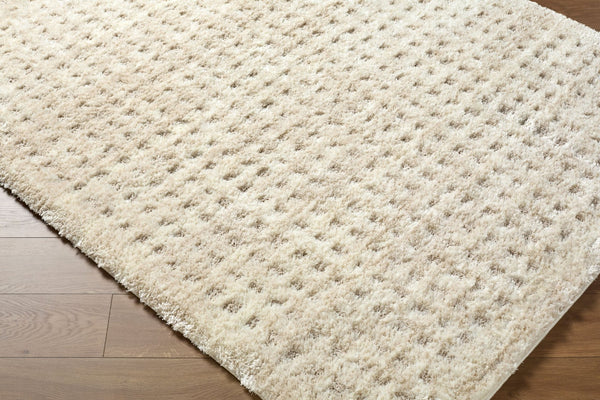 Livabliss Primo Art Deco Geometric High Pile Polyester Accent Rug for Entryways and Bedside Light Beige, Cr 7'10" x 10' PRO2313-71010