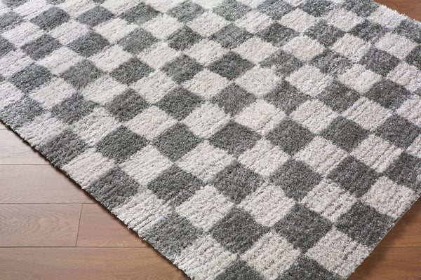 Livabliss Primo Art Deco Machine Woven Polyester Rug Plush High Pile Accent for Entryway Charcoal, White 7'10" x 10' PRO2315-71010