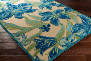 Livabliss Portera Coastal Olefin Area Rug Machine Woven Low Pile for Living Room or Entryway PRT1073-576
