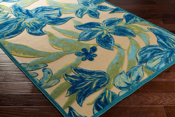 Livabliss Portera Coastal Olefin Area Rug Machine Woven Low Pile for Living Room or Entryway PRT1073-576