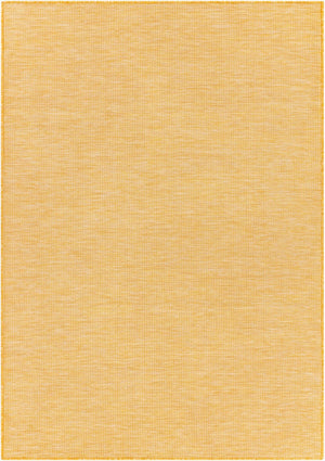 Livabliss Pasadena Flatweave Polypropylene Accent Rug Traditional Pattern for Entryways PSA2307-274