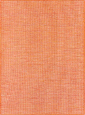 Livabliss Pasadena Flatweave Polypropylene Area Rug Turkish Woven for Entryways and Kitchens Burnt Orange 2'6" x 4' PSA2313-274