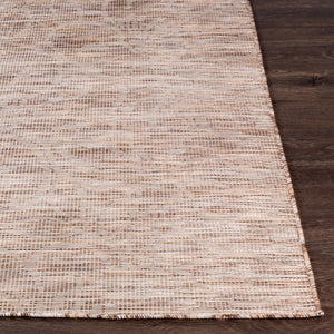 Livabliss Pasadena Flatweave Polypropylene Area Rug Turkish Woven Traditional Pattern Entryway Accent PSA2325-274