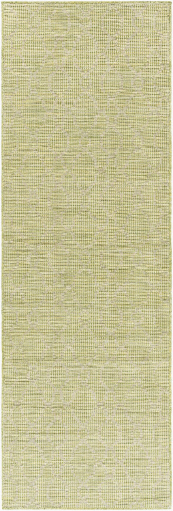 Livabliss Pasadena Classical Flatweave Polypropylene Accent Rug for Entryways and Transitional Interiors Grass Green 2'6" x 7'3" PSA2330-2773