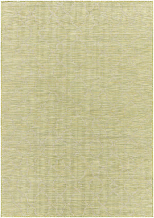 Livabliss Pasadena Classical Flatweave Polypropylene Accent Rug for Entryways and Transitional Interiors Grass Green 2'6" x 4' PSA2330-274