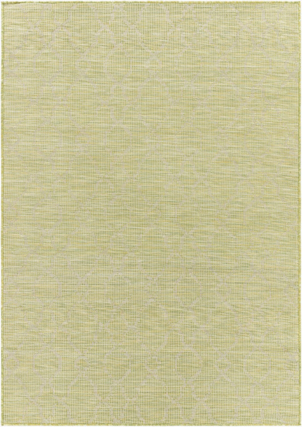 Livabliss Pasadena Classical Flatweave Polypropylene Accent Rug for Entryways and Transitional Interiors Grass Green 2'6" x 4' PSA2330-274