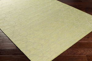 Livabliss Pasadena Classical Flatweave Polypropylene Accent Rug for Entryways and Transitional Interiors Grass Green 2'6" x 7'3" PSA2330-2773