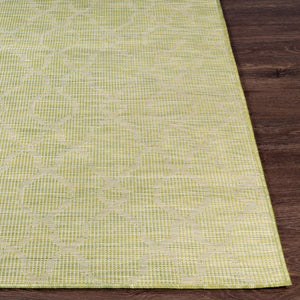 Livabliss Pasadena Classical Flatweave Polypropylene Accent Rug for Entryways and Transitional Interiors Grass Green 2'6" x 7'3" PSA2330-2773